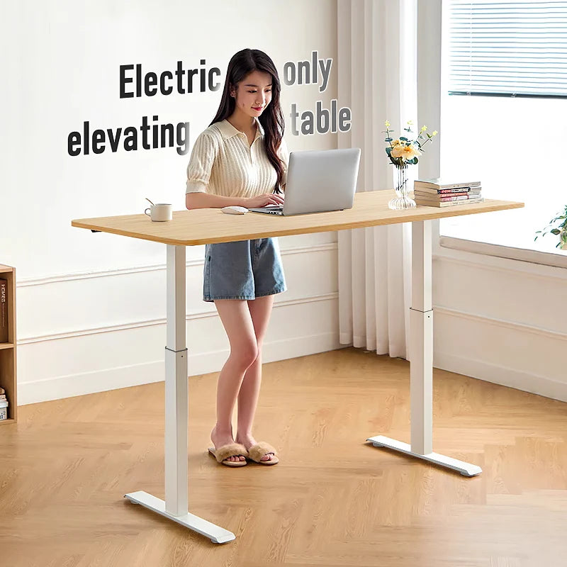 Height Adjustable Electric Sit-Stand Desk