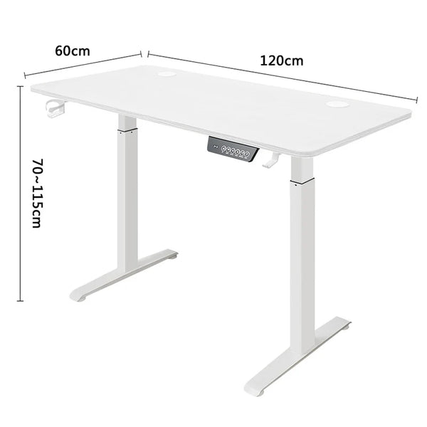 Height Adjustable Electric Sit-Stand Desk