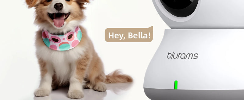 Blurams 2K Indoor WiFi Security Camera – 360° PTZ