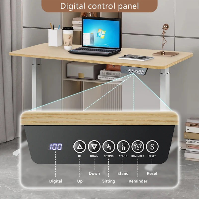 Height Adjustable Electric Sit-Stand Desk