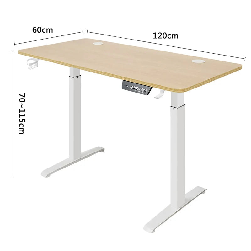 Height Adjustable Electric Sit-Stand Desk