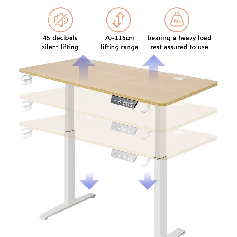 Height Adjustable Electric Sit-Stand Desk